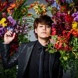 好了avalon第四航最新版本更新内容
