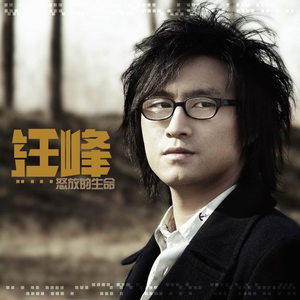 好了avalon第四航最新版本更新内容
