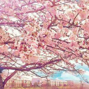 好了avalon第四航最新版本更新内容
